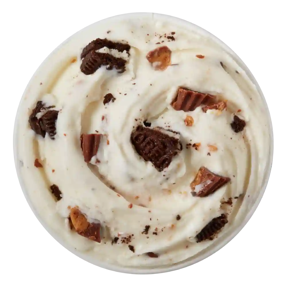 OREO<sup>®</sup> REESE’S<sup>®</sup> Blizzard<sup>®</sup> Treat